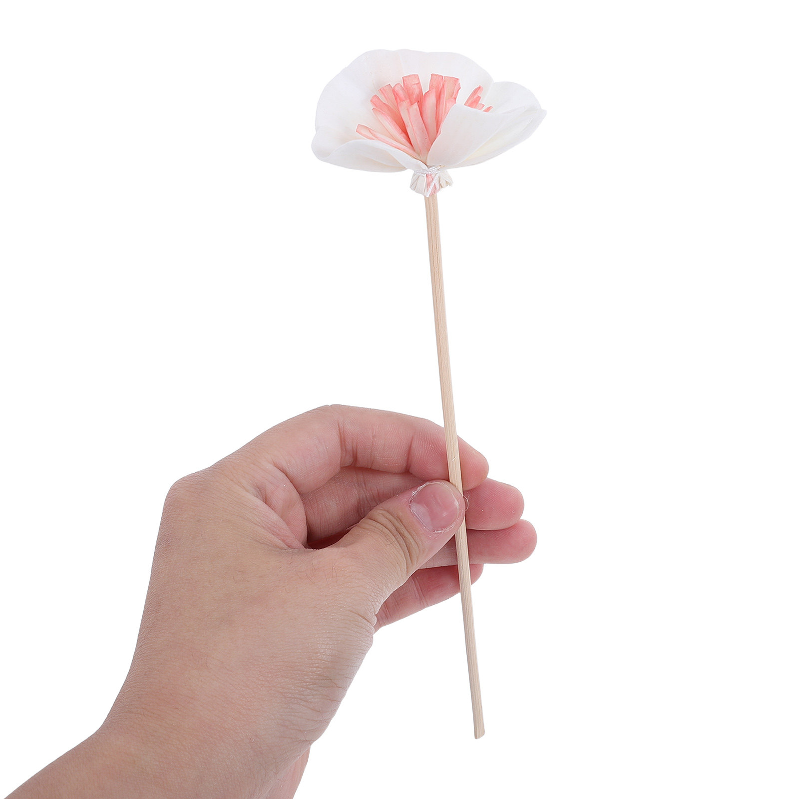 10 ชิ้น แท่งกระจายกลิ่นน้ำมันห - Home And You Fragrance Diffuser บทวิจารณ์และราคา