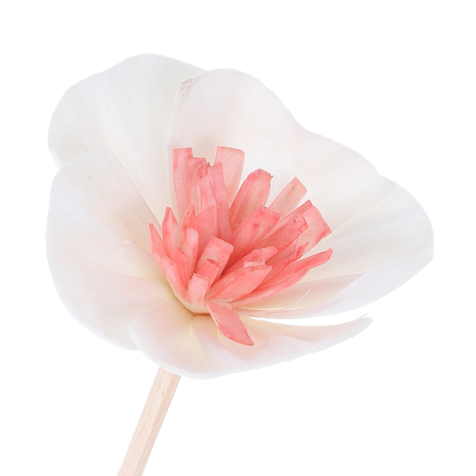 10 ชิ้น แท่งกระจายกลิ่นน้ำมันห - Home And You Fragrance Diffuser บทวิจารณ์และราคา