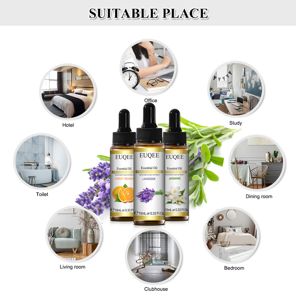 EUQEE 10ml ธรรมชาติพืชน้ํามันห - Home Fragrance Eucalyptus บทวิจารณ์และราคา