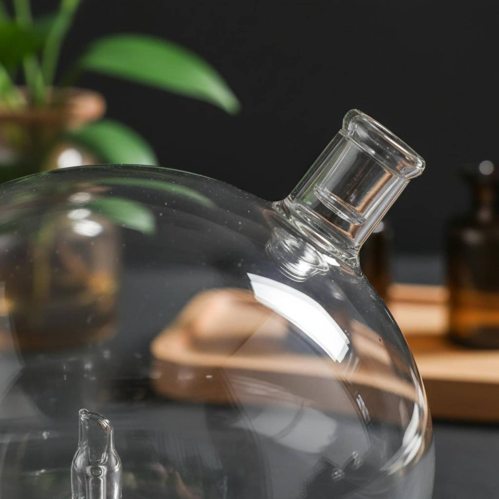 ขวดดิฟฟิวเซอร์แบบแก้ว ใช้แทนได - Home And You Fragrance Diffuser บทวิจารณ์และราคา